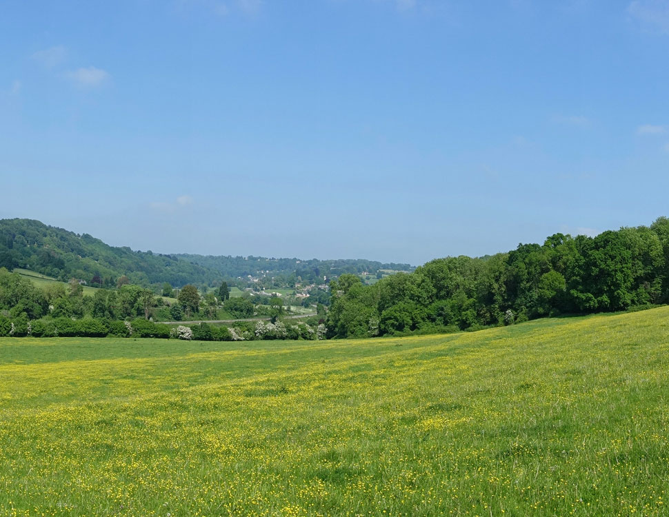 british field